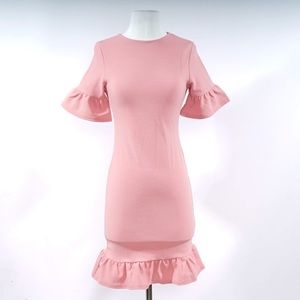 Ruffle Sleeve Mini Dress (Size 4)
